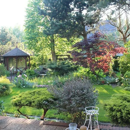 民宿 Dom Pod Brzozami