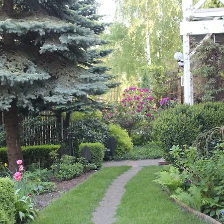 Dom Pod Brzozami 民宿 *