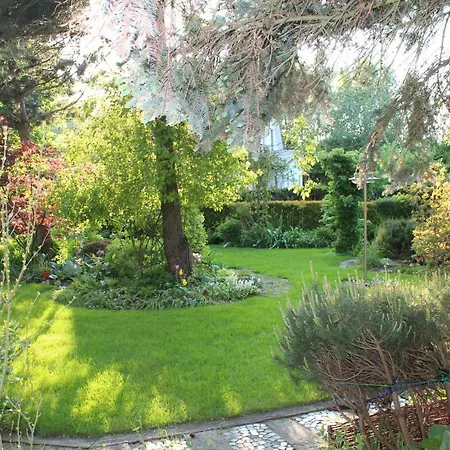 Dom Pod Brzozami 民宿 *