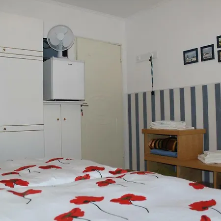 Dom Pod Brzozami * 斯维诺乌伊希切