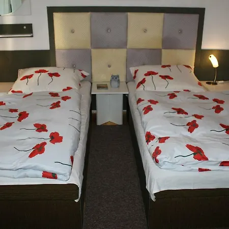 Dom Pod Brzozami 民宿 *