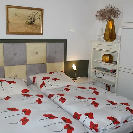 Dom Pod Brzozami 民宿 *