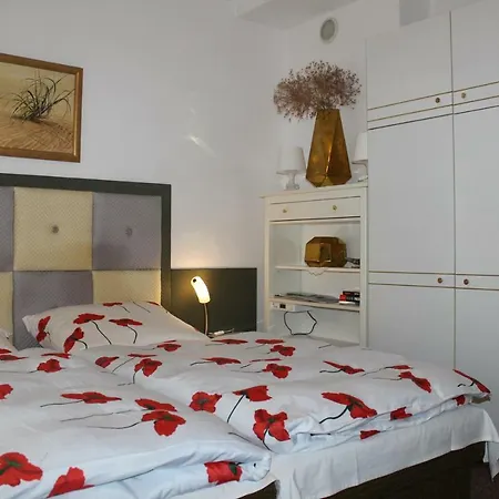 民宿 Dom Pod Brzozami