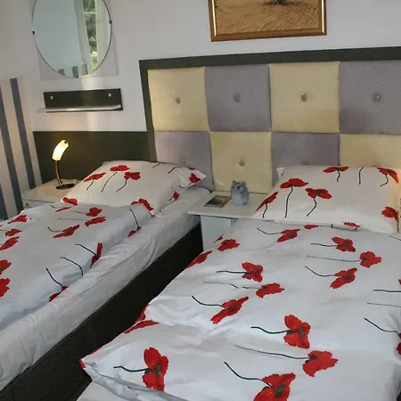 民宿 Dom Pod Brzozami 斯维诺乌伊希切