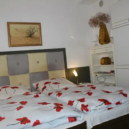 Dom Pod Brzozami Pansiyon *