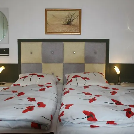 民宿 Dom Pod Brzozami *