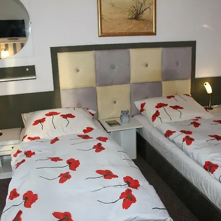 Dom Pod Brzozami 斯维诺乌伊希切