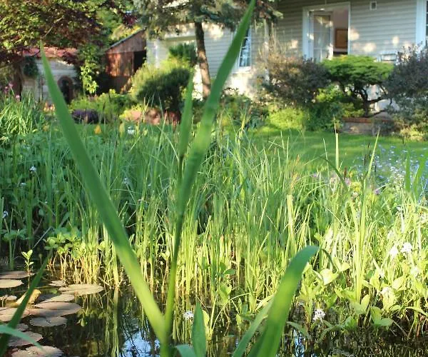 Privat bolig Dom Pod Brzozami *