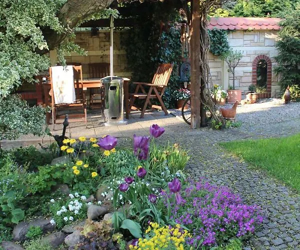 Privat bolig Dom Pod Brzozami *